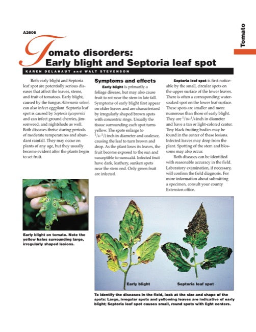 Tomato Disorders: Early Blight and Septoria Leaf Spot