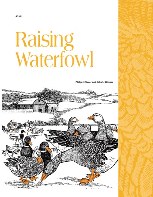 Raising Waterfowl