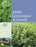 Alfalfa Germination and Growth