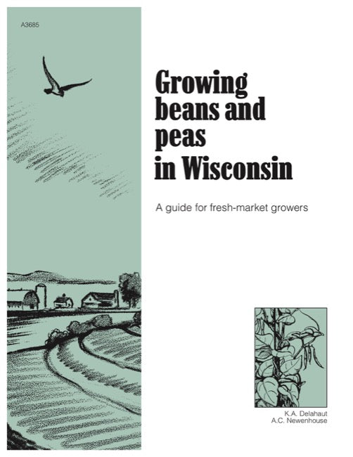 Growing Beans and Peas in Wisconsin