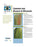 Visual Quick Guide to Common Corn Diseases in Wisconsin