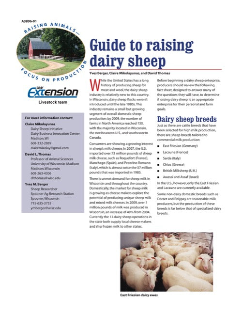 Guide to Raising Dairy Sheep
