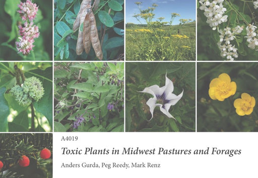 Toxic Plants in Midwest Pastures and Forages