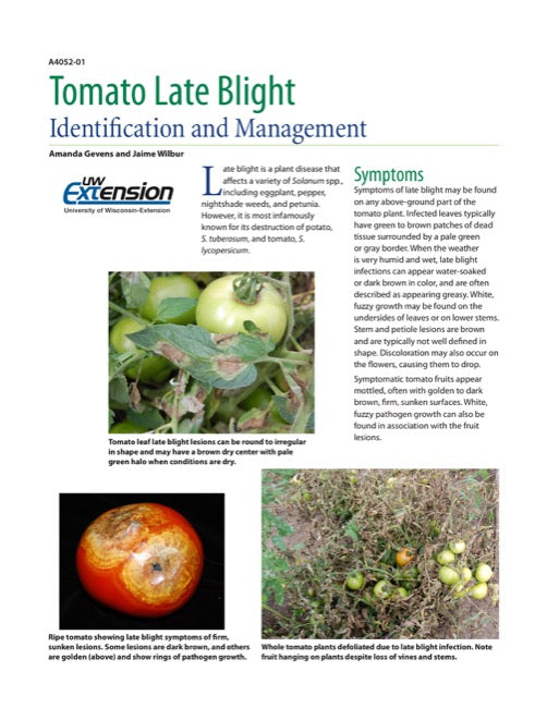 Tomato Late Blight