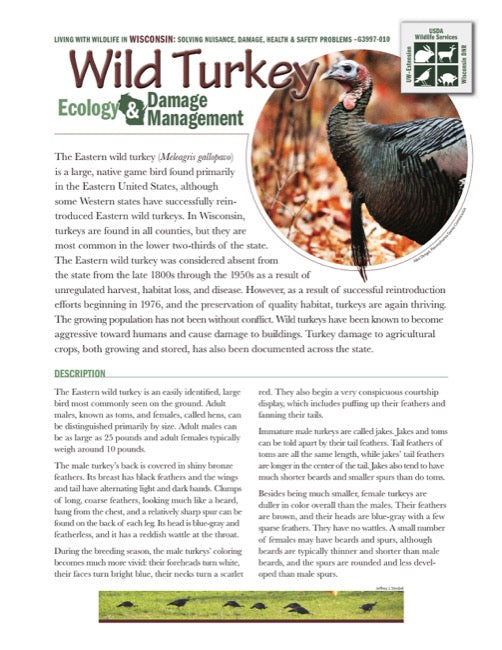 Wild Turkey Ecology and Damage Management