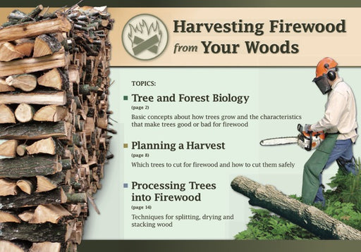 Harvesting Firewood from Your Woods