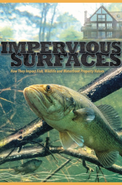 Impervious Surfaces: How they Impact Fish, Wildlife and Waterfront Property Values