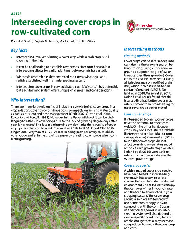 Interseeding Cover Crops in Row-cultivated Corn