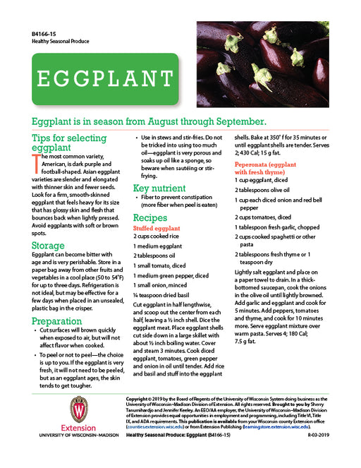 Healthy Seasonal Produce: Eggplant