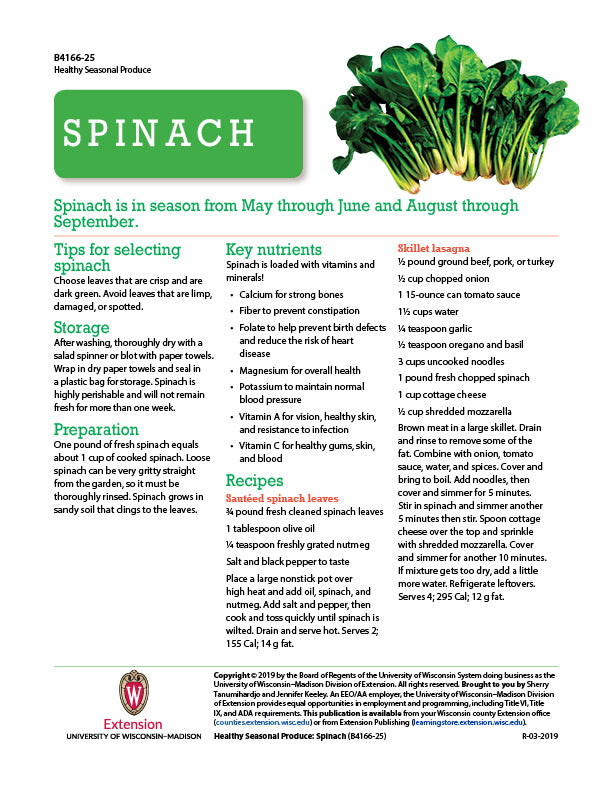 Healthy Seasonal Produce: Spinach