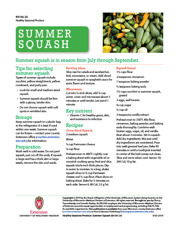 Healthy Seasonal Produce: Summer Squash