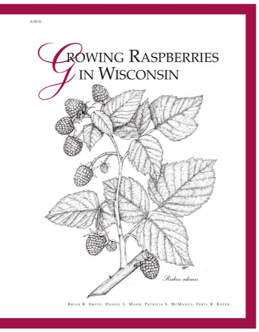 Growing Raspberries in Wisconsin — The Learning Store