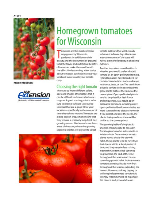 Homegrown Tomatoes for Wisconsin