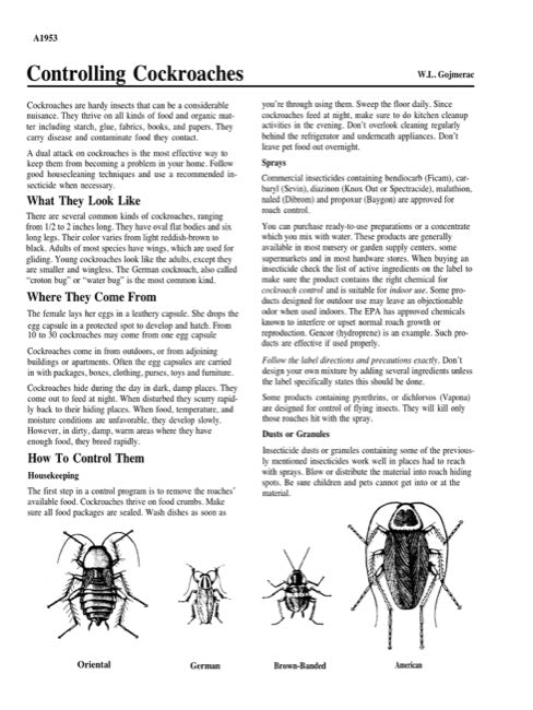 Controlling Cockroaches — The Learning Store