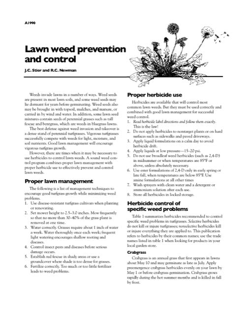 Lawn Weed Prevention and Control