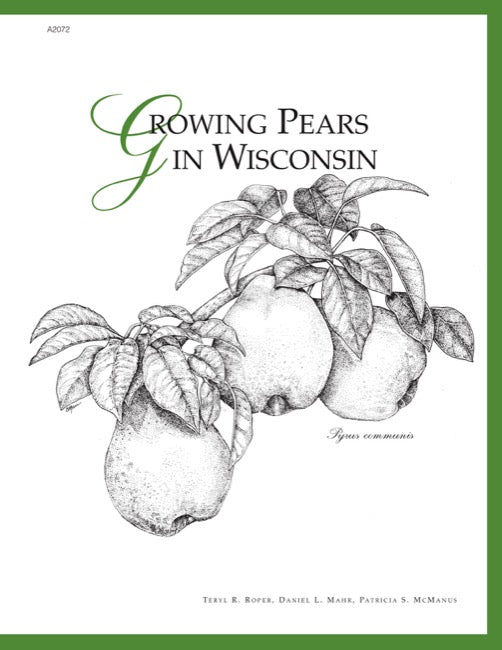 Growing Pears in Wisconsin
