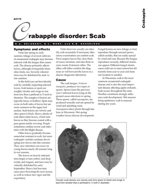 Crabapple Disorder: Scab