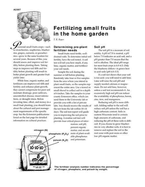 Fertilizing Small Fruits in the Home Garden