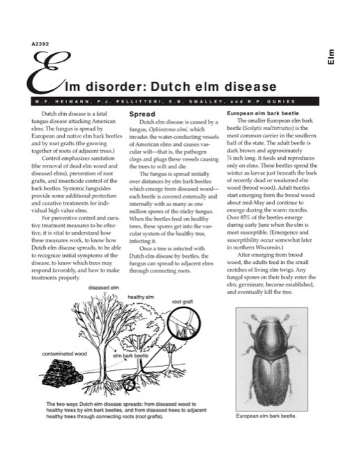 Dutch Elm Disease in Wisconsin