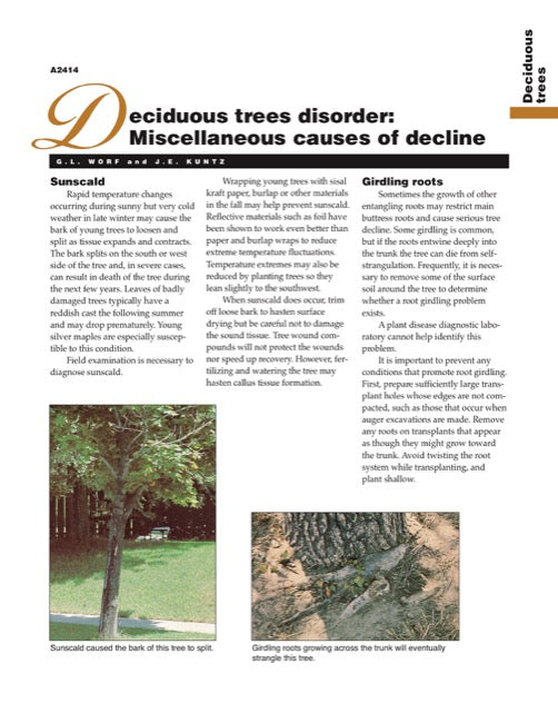 Deciduous Trees Disorder: Miscellaneous Causes of Decline — The