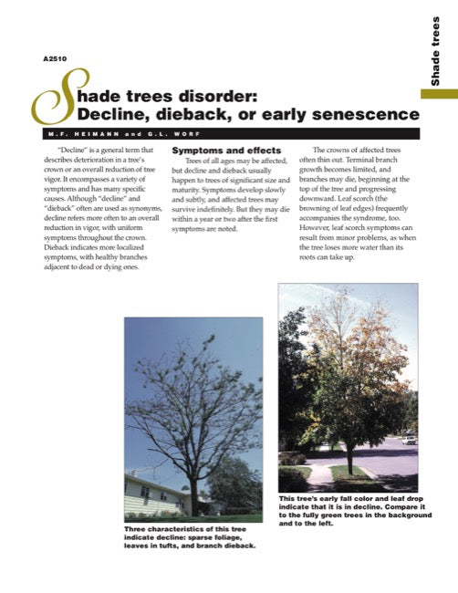 Shade Trees Disorder: Decline, Dieback, or Early Senescence