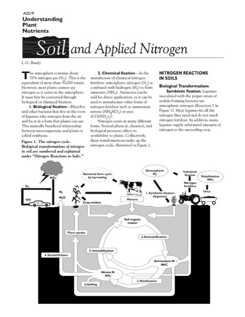 Understanding Plant Nutrients: Soil and Applied Nitrogen