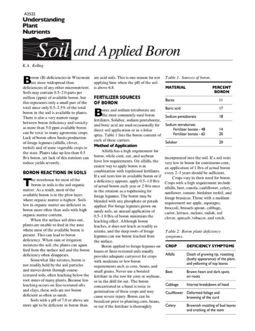 Understanding Plant Nutrients: Soil and Applied Boron