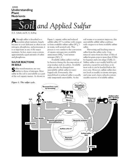 Understanding Plant Nutrients: Soil and Applied Sulfur