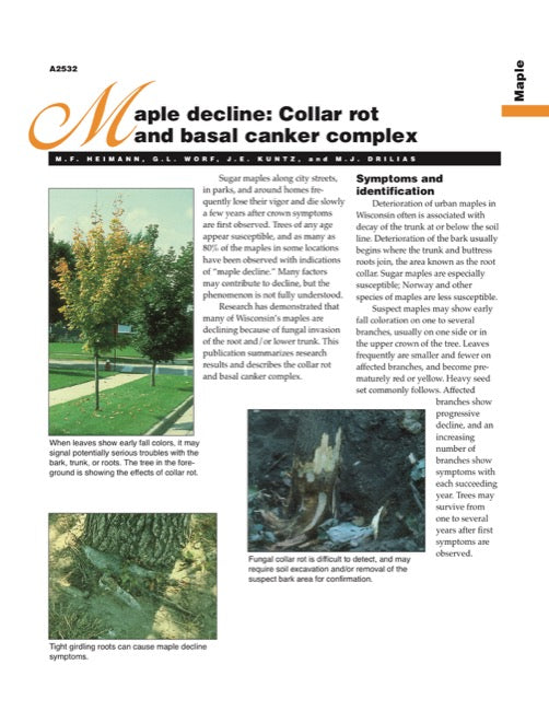 Maple Decline: Collar Rot and Basal Canker Complex