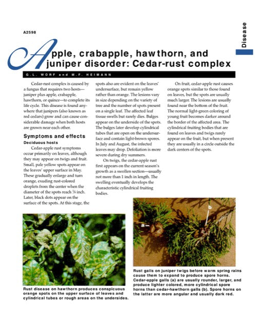 Apple, Flowering Crab, Hawthorn, Juniper Disorder: Cedar-Rust Complex