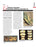 Gladiolus Disorder: Fusarium Yellows and Bulb Rot