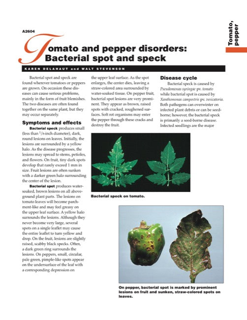 Tomato and Pepper Disorders: Bacterial Spot and Speck