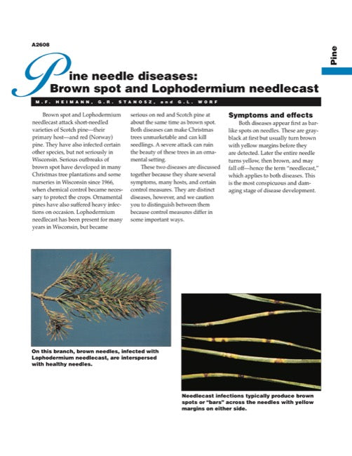 Pine Needle Diseases: Brown Spot and Lophodermium Needlecast