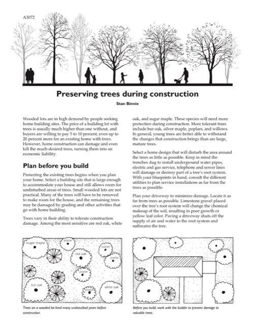 Preserving Trees During Construction — The Learning Store