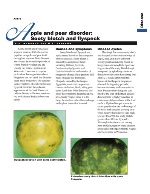 Apple Disorder: Sooty Blotch and Flyspeck