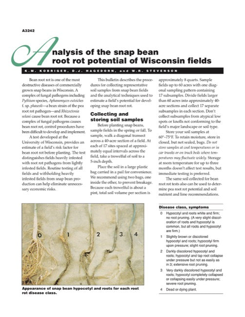 Analysis of the Snap Bean Root Rot Potential of Wisconsin Fields