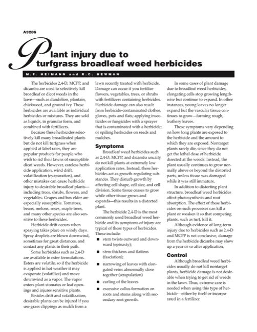 Plant Injury Due to Turfgrass Broadleaf Weed Herbicides