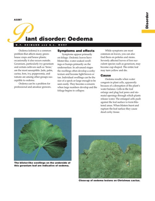 Plant Disorder: Oedema