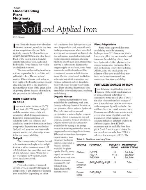 Understanding Plant Nutrients: Soil and Applied Iron