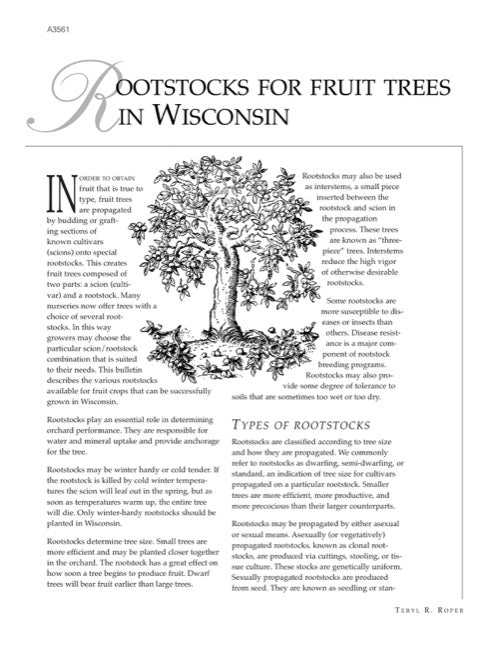 Rootstocks for Fruit Trees in Wisconsin