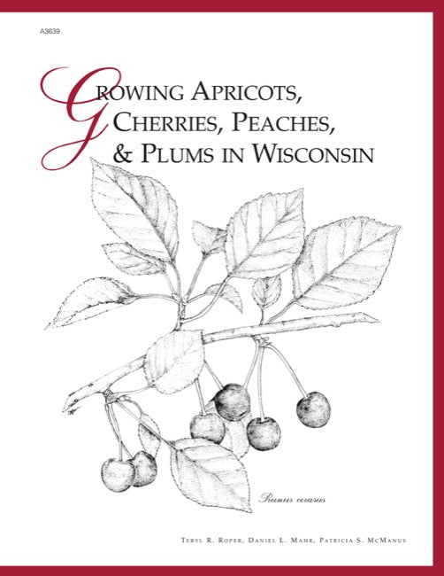 Growing Apricots, Cherries, Peaches, and Plums in Wisconsin