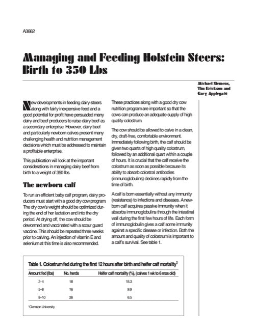 Managing and Feeding Holstein Steers: Birth to 350 Lbs