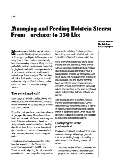 Managing and Feeding Holstein Steers: From Purchase to 350 Lbs