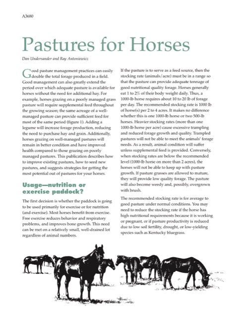Pastures for Horses