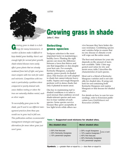 Growing Grass in Shade