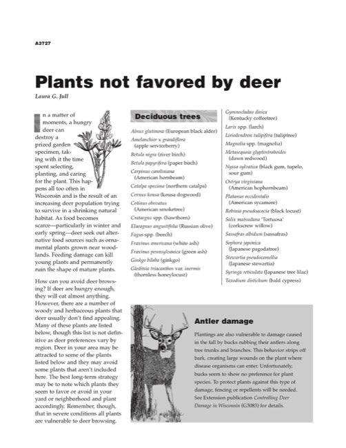 Plants Not Favored by Deer