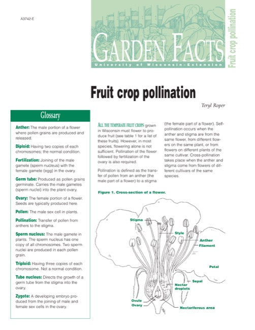 Fruit Crop Pollination