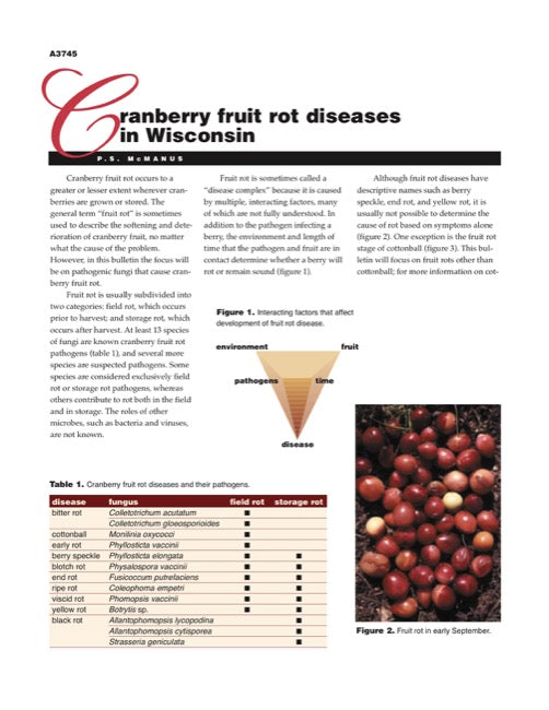 Cranberry Disorders: Cranberry Fruit Rot Diseases