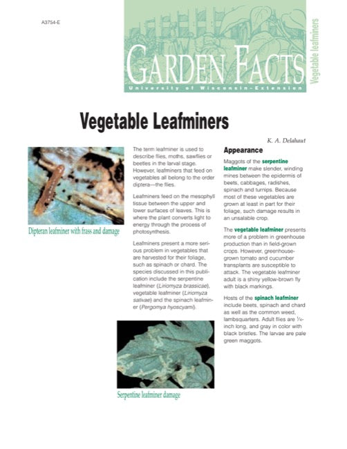 Vegetable Leafminers
