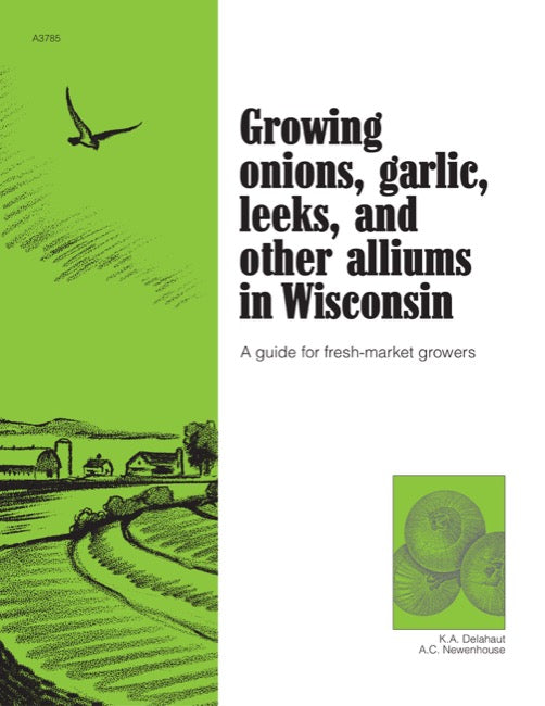 Growing Onions, Garlic, Leeks, and Other Alliums in Wisconsin